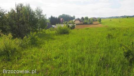 Działka rolna Olchowa 62 ar z możliwością uzyskania warunków zabudowy