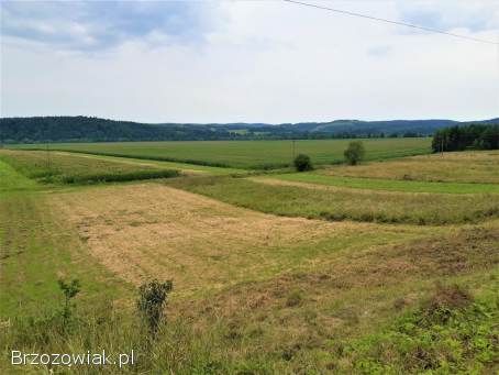 Działka pod rekreację w Uluczu 25,  49 ar