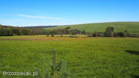 Działki siedliskowe 6,  37 ha Dołżyca gm.  Komańcza