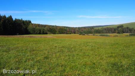 Działki siedliskowe 6,  37 ha Dołżyca gm.  Komańcza