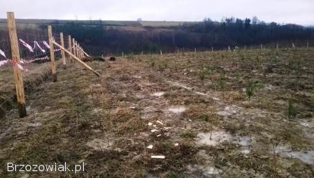 Ogrodzenie z siatki leśnej tymczasowe budowlane FAKTURA VAT od 21 zł
