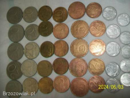 Polskie monety kolekcjonerskie
