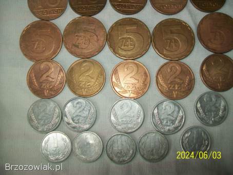 Polskie monety kolekcjonerskie