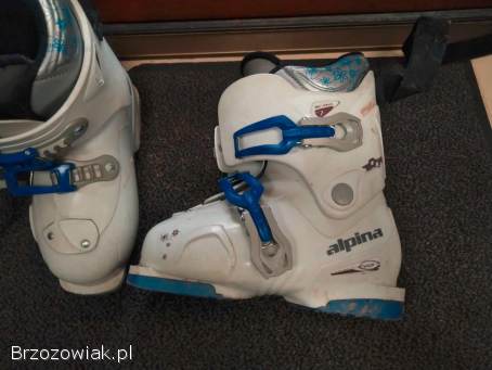 Buty narciarskie ALPINA