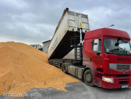Usługi transportowe,  transport zbóż kruszyw materiałów sypkich