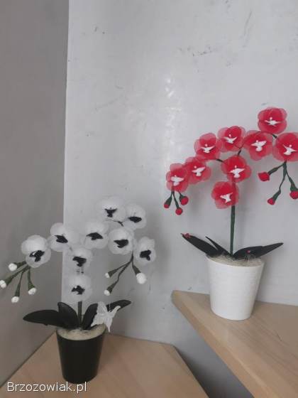 Kwiaty z rajstop