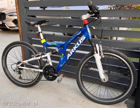 Rower dziecięcy MTB Arkus Graffiti 405