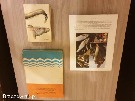 Książki o tematyce rybackiej ( starsze roczniki )