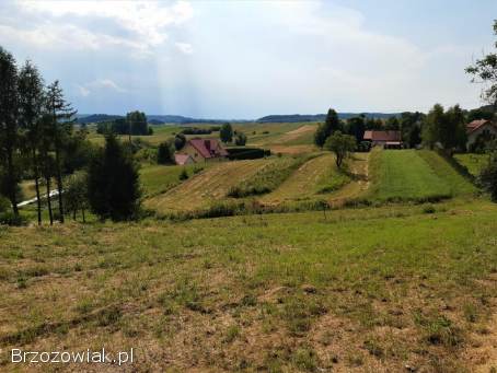 Działka pod zabudowę jednorodzinną Srogów Górny 28,  5 ar