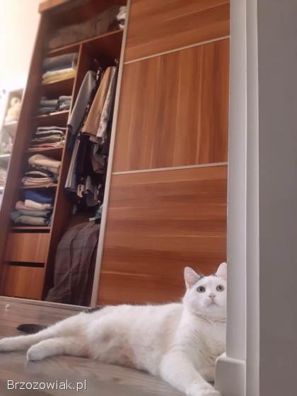 SZAFA PRZESUWNA,  POD ZABUDOWĘ + komoda + szafka nocna