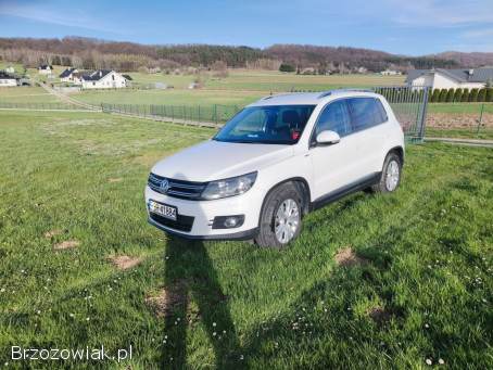 Volkswagen Tiguan Life 2013