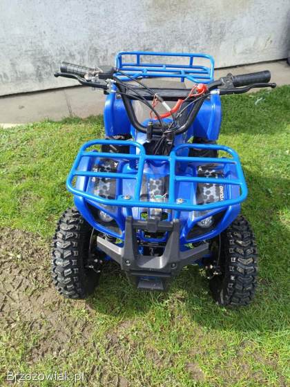 Quad 50