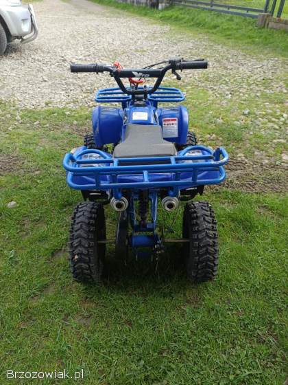 Quad 50