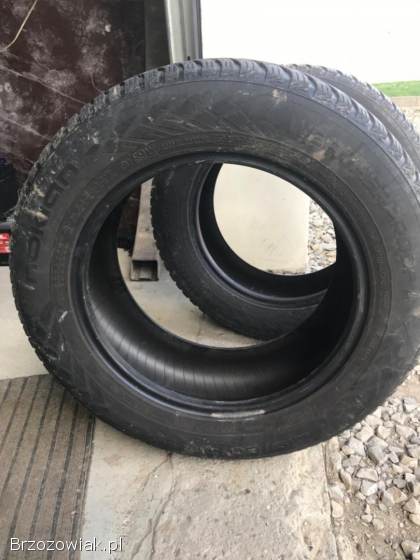 Nokian 215/60 16