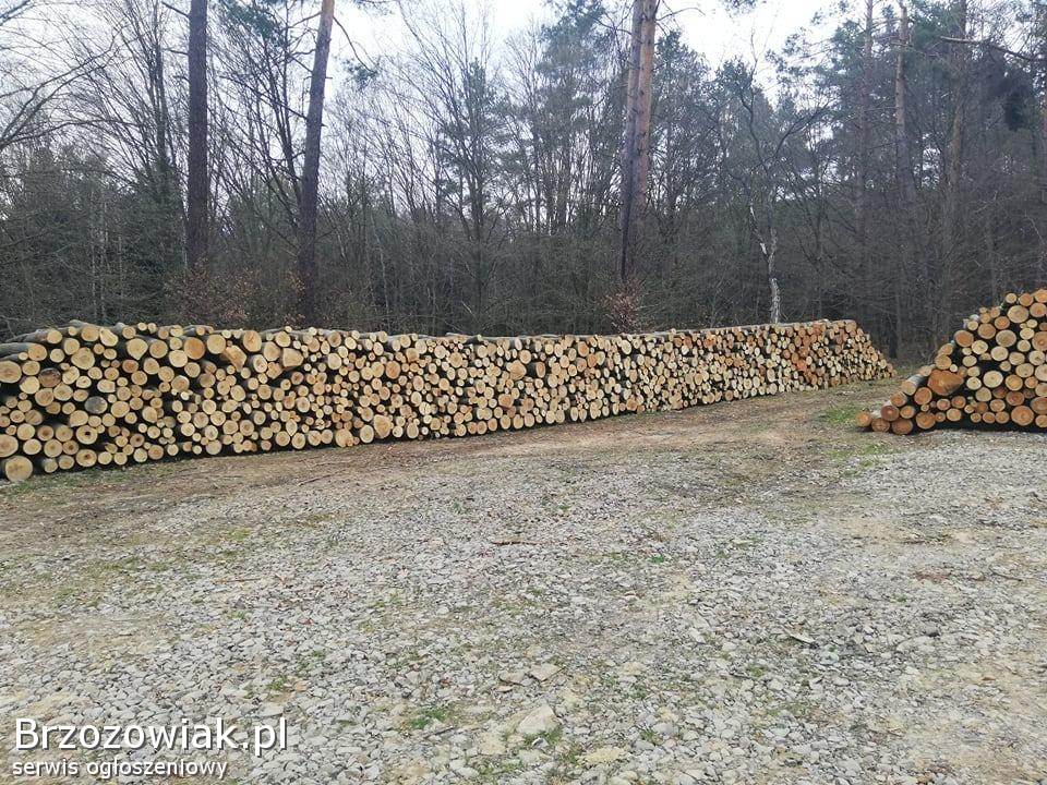 Drewno dwumetrówka