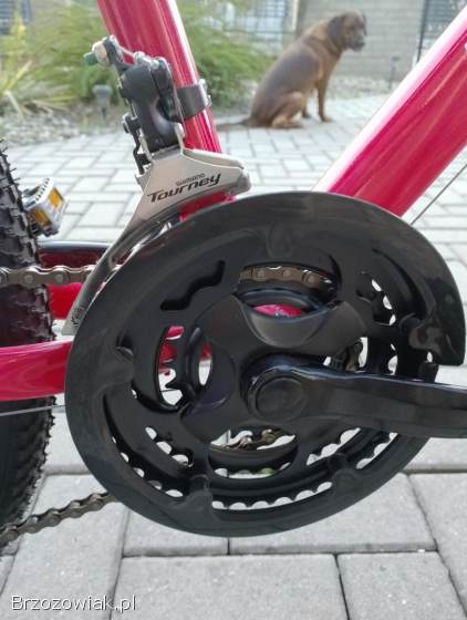 Odsprzedam rower