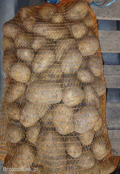 Ziemniaki jadalne: Ignac 1,  33 zł/kg