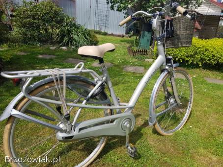 ROWER BATAVUS Mambo