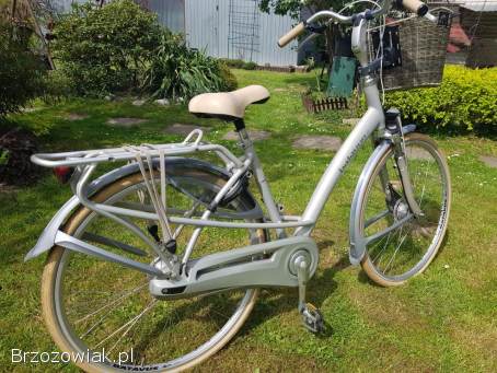 ROWER BATAVUS Mambo