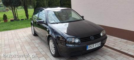 Volkswagen Golf Gti 1999
