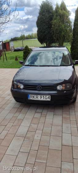 Volkswagen Golf Gti 1999