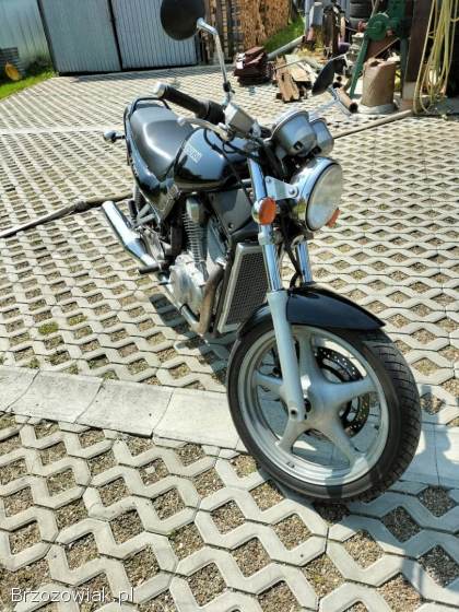 Suzuki VX 800 1993