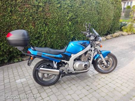 Suzuki GS 500 2000