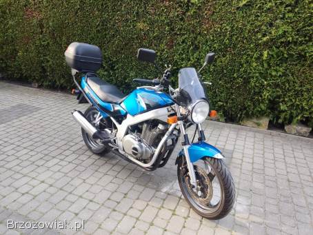 Suzuki GS 500 2000