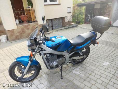 Suzuki GS 500 2000