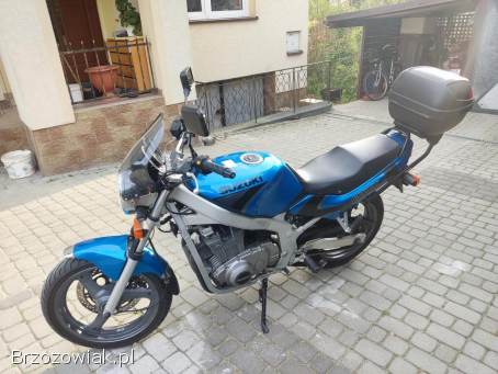 Suzuki GS 500 2000