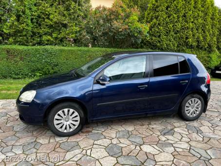 Volkswagen Golf 5 2004