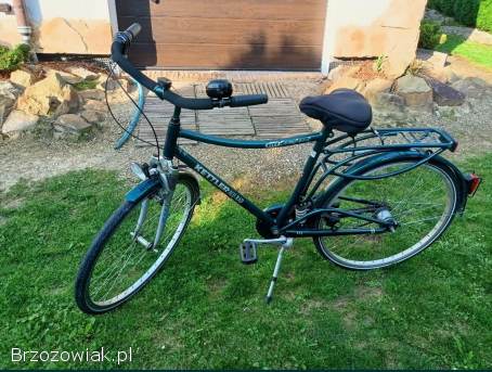 Rower Kettler Alurad