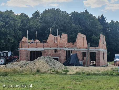Budowa domu.  Usługi remontowo budowlane