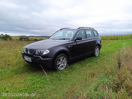 BMW X3 E83 2005