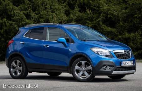 Opel Mokka Cosmo 2014