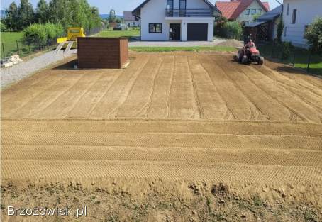 Przygotowanie pod trawnik Niwelacja terenu Usługi glebogryzarką separacyjną