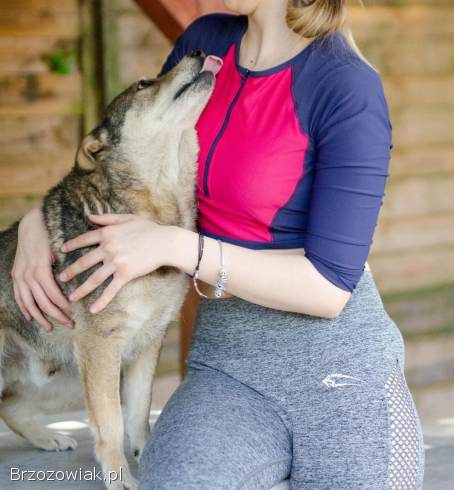 Boski Kubuś o błogim spojrzeniu prosi o domek!