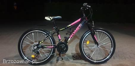 Rower 24 cale cena 799 zl
