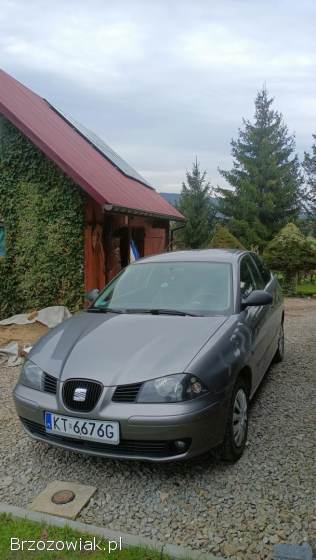 Seat Ibiza 6L 2003