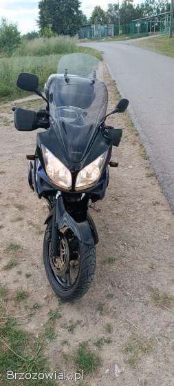 Suzuki V-Strom DL1000 2003