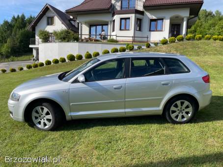 Audi A3 2.  0TDI QUATTRO 2007