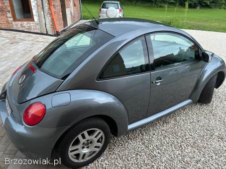 Volkswagen New Beetle ARTE 2004