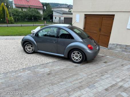 Volkswagen New Beetle ARTE 2004