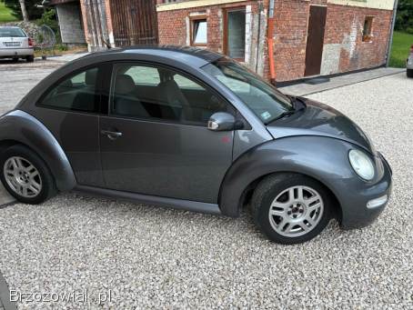 Volkswagen New Beetle ARTE 2004