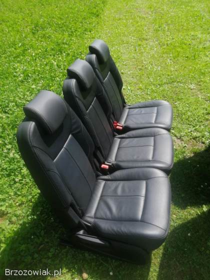 Fetele skora ford s-max
