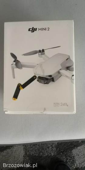 DJI mini 2