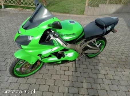 Kawasaki Ninja Zx9r 2002