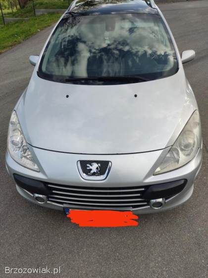 Peugeot 307sw 2005