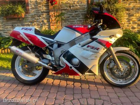 Yamaha FZR 600 Genesis 1993