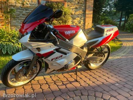 Yamaha FZR 600 Genesis 1993